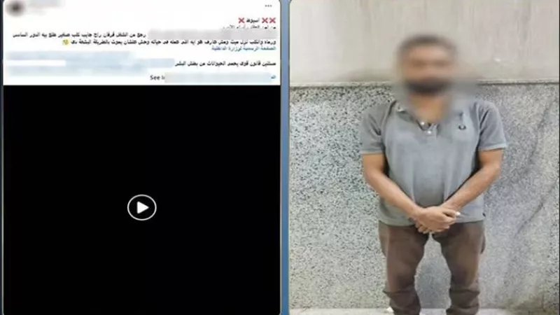 ضبط شخص بعد إلقائه كلبًا من الطابق السادس والتسبب في نفوقه بأسيوط