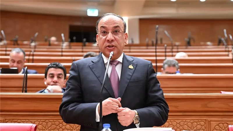 دينية النواب: كلمة الرئيس في بريكس تضع مصر في قلب معادلة الاقتصاد العالمي