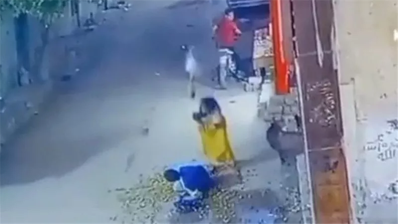 بعد تداول فيديو الواقعة.. ضبط سيدة متهمة بالاعتداء على شاب من ذوي الهمم بالمنيا