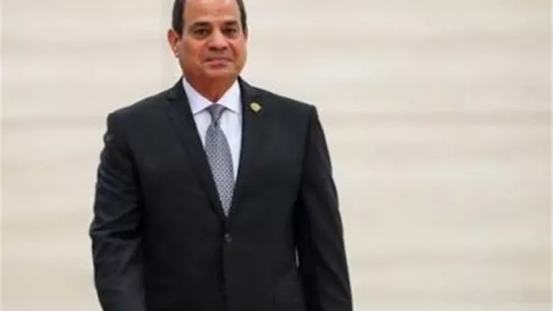 الرئيس السيسي يعود إلى أرض الوطن بعد مشاركته في قمة «بريكس» بنيودلهي