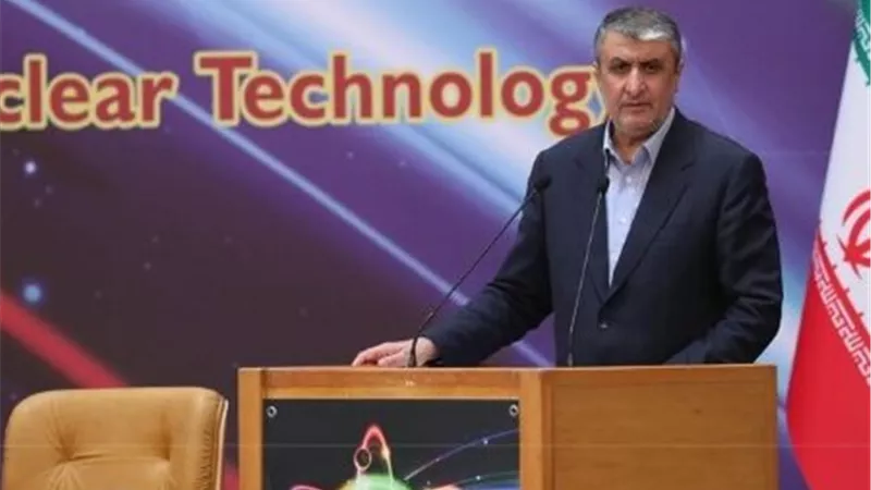 فيتو أمريكي يهز مؤتمر الذرة.. النمسا تمنع رئيس الطاقة الذرية الإيرانية من دخول فيينا