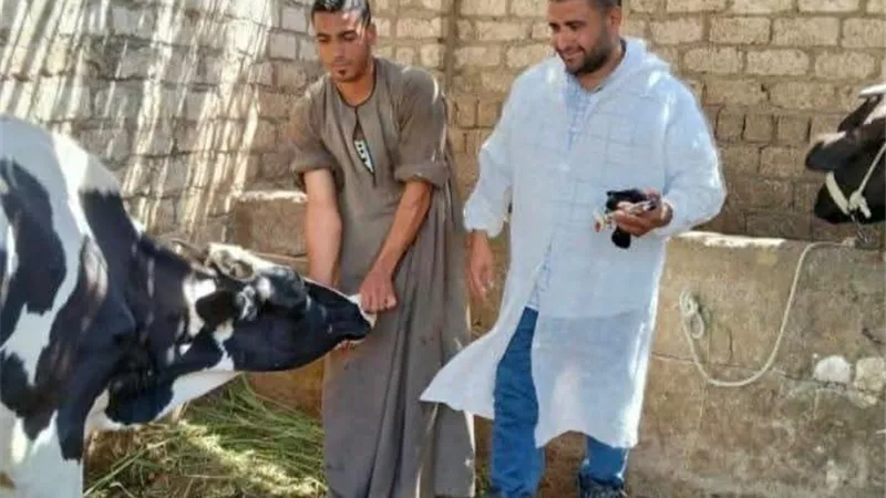 حملات بيطرية في المنيا لتحصين أكثر من 76 ألف رأس ماشية ضد الأمراض