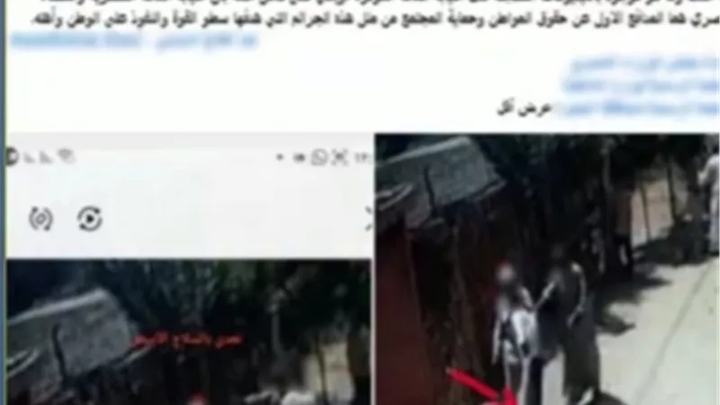 مشاجرة بسبب خلافات مالية.. ضبط 7 متهمين بعد التعدي على شقيقين بالبحيرة