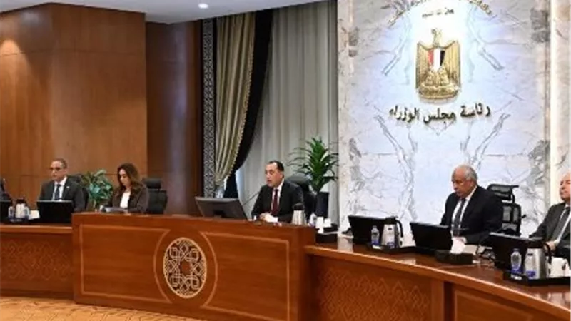رئيس الوزراء يوجه المحافظين: توسعوا في المعارض والأسواق.. وحظر نهائي لقطع الأشجار